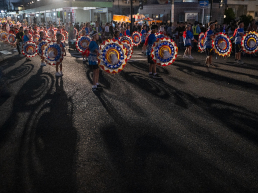 1年に1度咲く傘の花