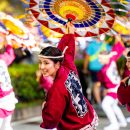 大賞／いざ踊らん